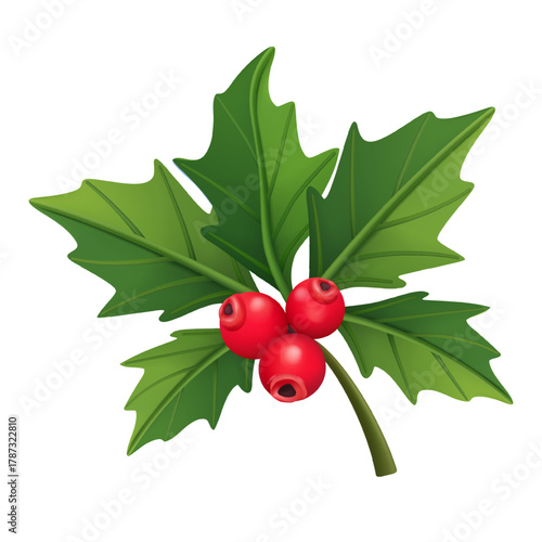 Vector traditional Christmas decoration with mistletoe leaves and berries