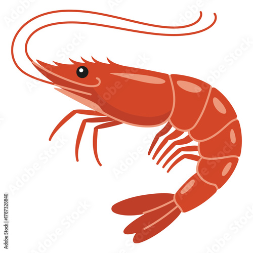 cooked shrimp on white background