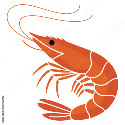 shrimp on a white background