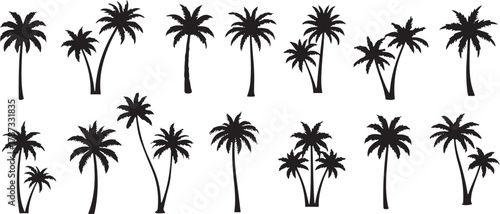 Palm Tree Silhouette Collection – Various Black Tropical Tree Vector Set