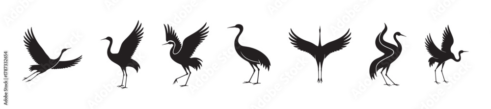 Obraz premium Crane bird silhouettes collection, elegant heron poses, flying and standing birds, wildlife illustration, nature animal design, graceful bird vector art, black silhouette
