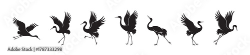 Crane bird silhouettes collection, elegant heron poses, flying and standing birds, wildlife illustration, nature animal design, graceful bird vector art, black silhouette