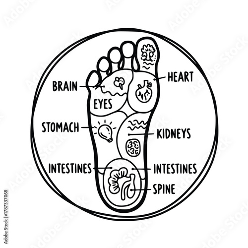 Foot Reflexology Chart Mapping Body Parts on the Foot.