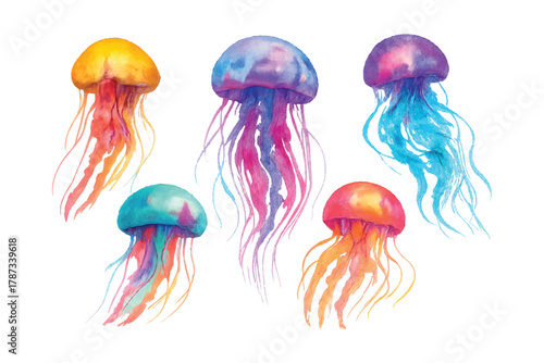 vibrant magical watercolor jellyfish collection