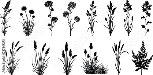 Black Silhouette Vector Set of Wild Grasses, Seed Heads, and Meadow Plants, Featuring Wheat, Thistle, and Ornamental Herbs, Ideal for Nature and Floral Designs.