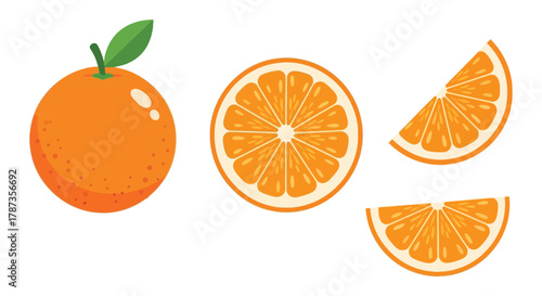 Fresh Orange Fruit Whole, Half, and Sliced Vector Illustration Set