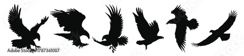 Set of flying eagle silhouettes pieces