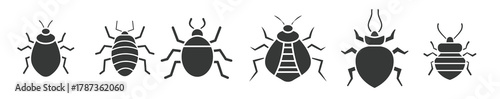 Bed Bug vector illustration