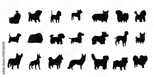 Cute dogs, puppies of different breeds set. Canine animals, diverse big and little doggies. Poodle, dachshund, dalmatian and jack russell terrier. Flat vector illustration isolated on white background