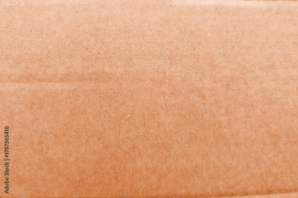 Fototapeta premium Brown Cardboard Texture
