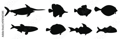 fish drawing vector design illustration isolated on white 