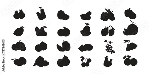 fruits flat style illustration vector design 