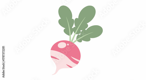 A delightful illustration of a fresh radish, perfect for culinary and garden-themed designs