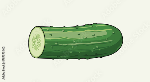 Fresh Cut Cucumber Illustration with Textured Skin and Detailed Interior