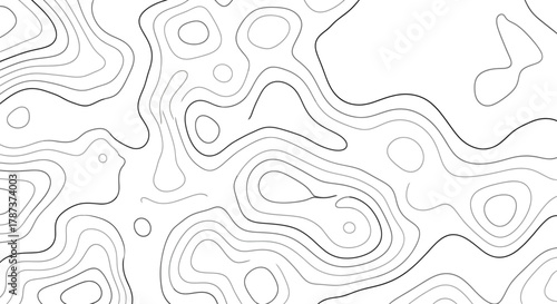 Abstract Topographic Map Contour Lines on White Background, Geomorphology Cartography Graphic