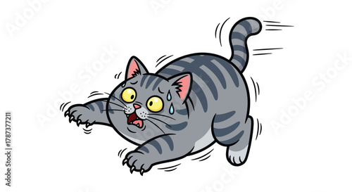 Scared Gray Tabby Cat Running Fast with Wide Eyes and Sweat Droplets