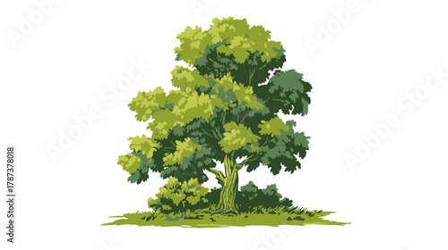 Lush Green Deciduous Tree Graphic Illustration with Vibrant Foliage and Trunk, Isolated Nature Element on White Background