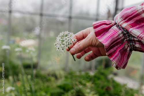 Canvas Print Woman holding white flower in a greenhouse