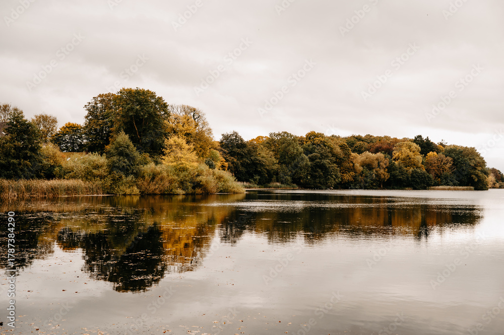Fototapeta premium Autumn Trees Reflected in Mühlenteich Lensahn, Schleswig Holstein