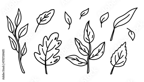 A set of autumn leaves and twigs isolated on a white background. Vector hand-drawn illustration in doodle style. Perfect for decorations, logo, various designs.
