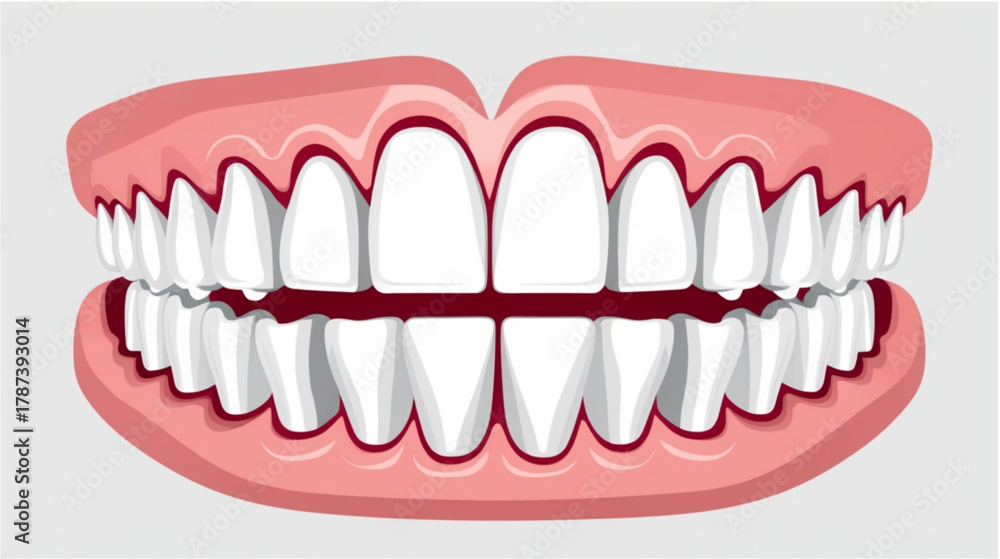 Obraz premium A stylized, cartoon-like illustration of a complete set of perfect human teeth (dentition) set within bright pink gums. The teeth are uniformly white, perfectly straight, and fully aligned, 