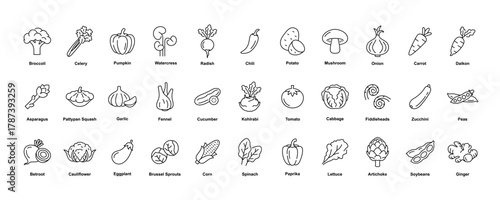 Collection of vegetable icons in line art style with editable stroke