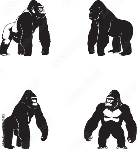 Gorilla Silhouette Set – Primate Vector Illustrations for Wildlife, Evolution, and Animal Anatomy Themes