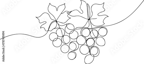 Single line drawing of grapes and leaves vine fruit