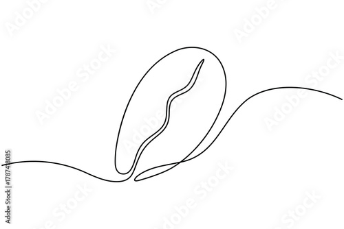 Coffee beans and seeds continuous one line drawing on white background minimalist roasted grain outline vector illustration