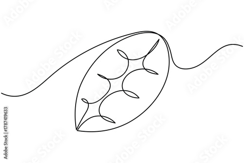 Coffee beans and seeds continuous one line drawing on white background minimalist roasted grain outline vector illustration