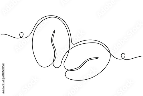 Coffee beans and seeds continuous one line drawing on white background minimalist roasted grain outline vector illustration