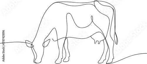 Black line drawing of a cow grazing on a white background