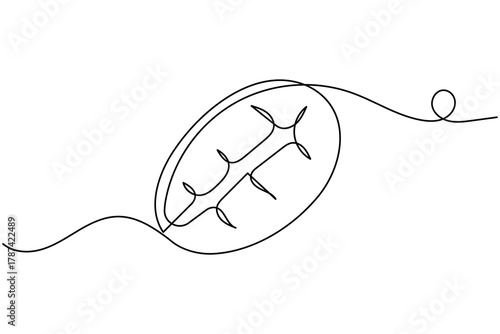 Coffee beans and seeds continuous one line drawing on white background minimalist roasted grain outline vector illustration