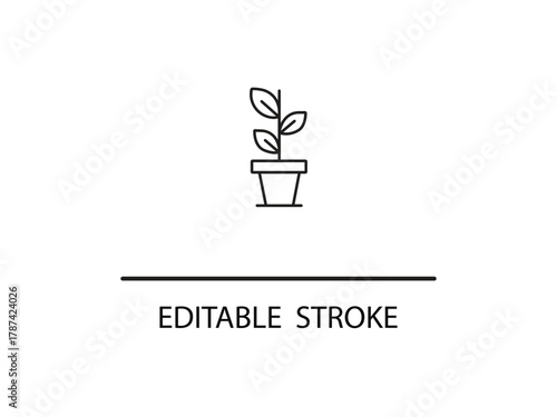 Line drawing of plant in pot for minimal design, eco projects, and sustainable business branding that is clean, modern, and perfect for logos.