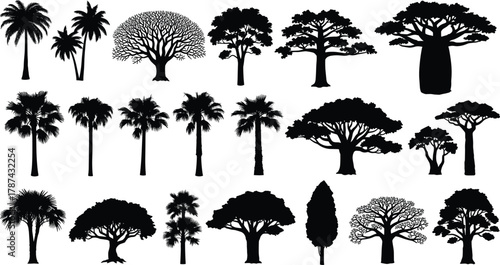 Tree silhouettes, black forest shapes, tropical palm, conifer pine, baobab outline, nature design, landscape illustration, botanical art collection