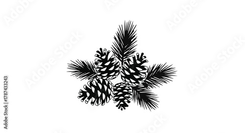 Cluster of pine cones and pine needles on a white background