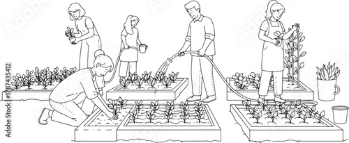 Line Art: People Gardening, Planting & Watering in Raised Beds