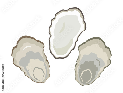 牡蠣の殻をイメージしたイラスト