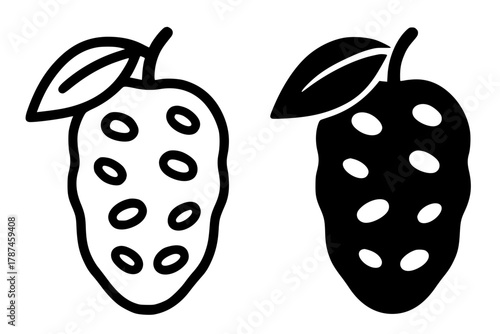 Minimalist icon, noni fruit vector, black and white, outline and silhouette
