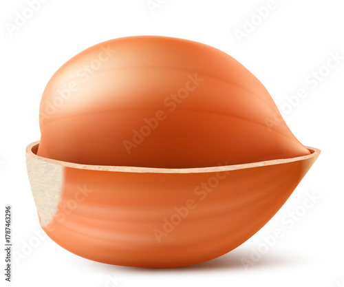 Half Peeled Hazelnuts Isolated on White Background. Hazelnut kernels are ripe and tasty, a healthy treat, a source of protein. For snacks and chocolate spread. Realistic 3d vector illustration.