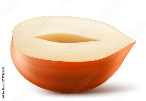 Half of a hazelnut isolated on a white background. Hazelnut in cross section. Hazelnut kernels are ripe and tasty, a healthy treat, a source of protein. Realistic 3d vector illustration.