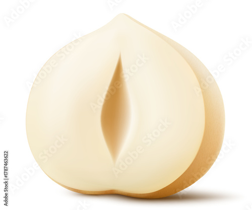 Half of shelled hazelnut isolated on a white background. Hazelnut in cross section. Hazelnut kernels are ripe and tasty, a healthy treat, a source of protein. Realistic 3d vector illustration.