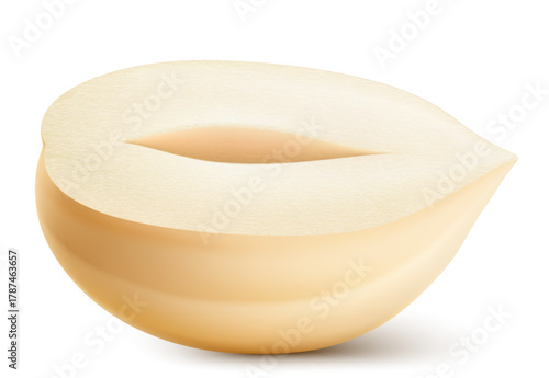 Half of shelled hazelnut isolated on a white background. Hazelnut in cross section. Hazelnut kernels are ripe and tasty, a healthy treat, a source of protein. Realistic 3d vector illustration.