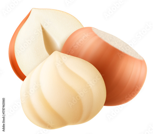 Set of realistic hazelnuts. Whole and half hazelnut isolated on white background. Peeled and unpeeled nuts. Hazelnut kernels are ripe and tasty, a source of protein. 3d vector illustration.