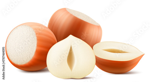 Set of realistic hazelnuts. Whole and half hazelnut isolated on white background. Peeled and unpeeled nuts. Hazelnut kernels are ripe and tasty, a source of protein. 3d vector illustration.