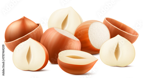 Set of realistic hazelnuts. Whole and half hazelnut isolated on white background. Peeled and unpeeled nuts. Hazelnut kernels are ripe and tasty, a source of protein. 3d vector illustration.
