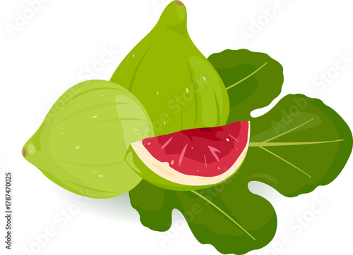 Green fig fruits composition whole and in section cut in half. Beautiful and tasty juicy figs. Figs, sweet fresh edible fruit and leaf of the fig tree. Vector illustration