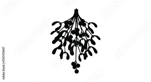 Silhouette of mistletoe sprig with berries, symbolizing holiday tradition and winter celebration