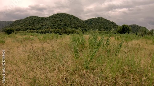 Dong Payayen, Khao Yai Thailand