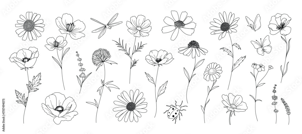 Fototapeta premium minimal line flower and botanical graphic sketch drawing, trendy tiny tattoo design, floral elements vector illustration